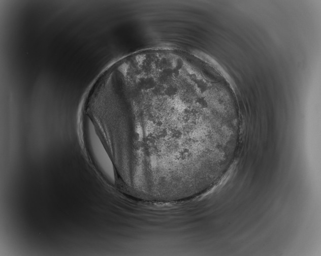 X0000087600835200705181236