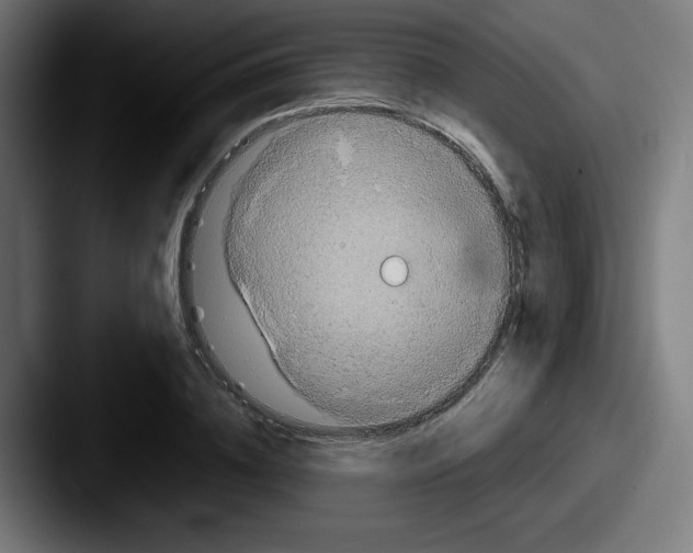 X0000087600836200705181236