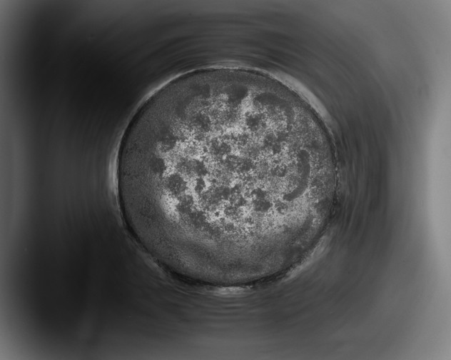 X0000087600839200705181236