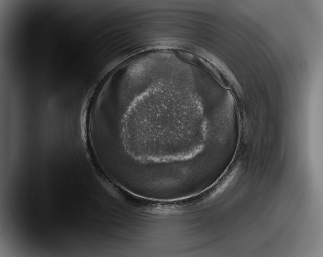 X0000087600842200705181236
