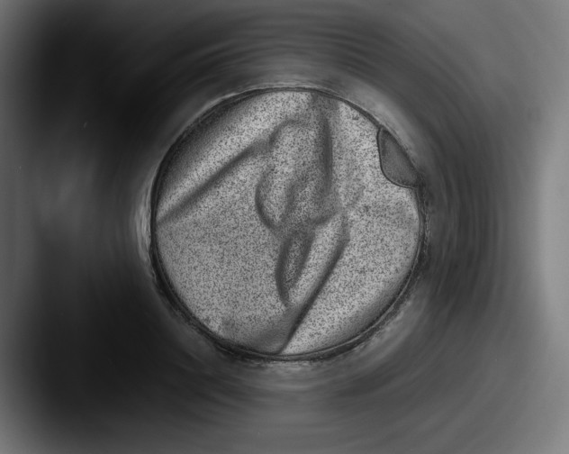 X0000087600844200705181236