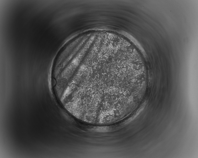 X0000087600845200705181236