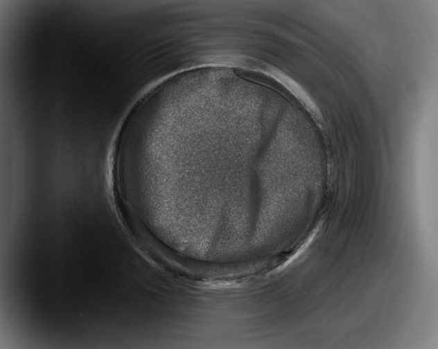 X0000087600846200705181236