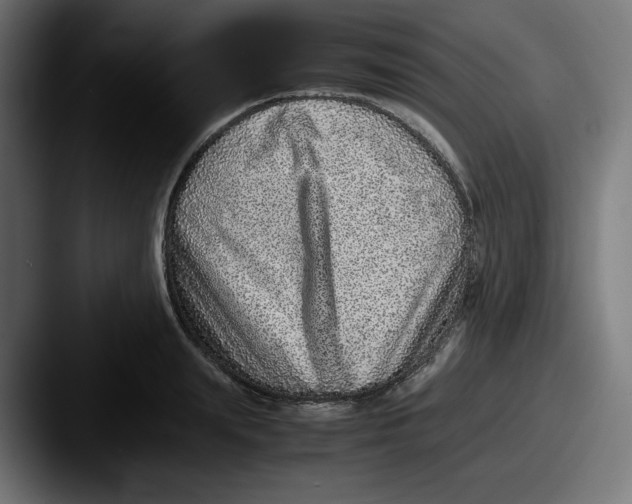 X0000087600847200705181236