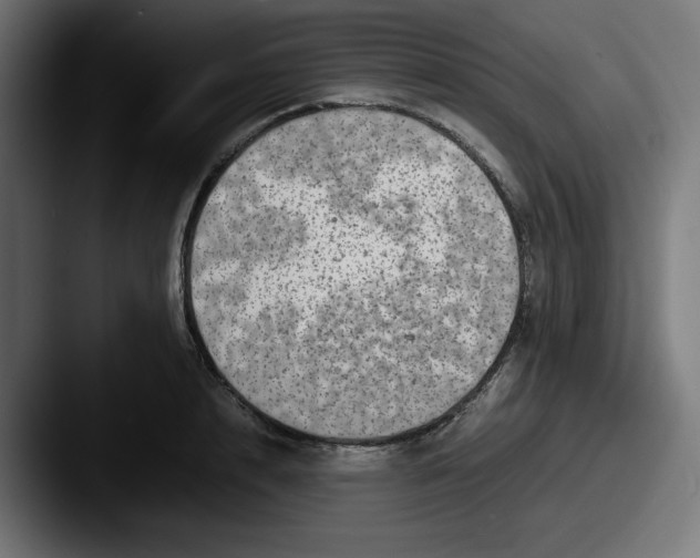 X0000087600848200705181236