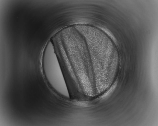 X0000087600850200705181236