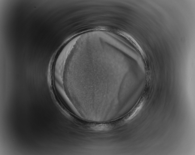X0000087600851200705181236