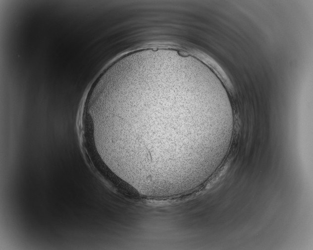 X0000087600852200705181236