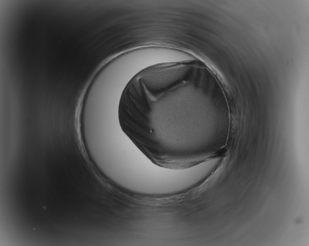 X0000087600854200705181236