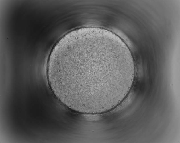 X0000087600856200705181236