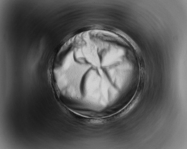 X0000087600857200705181236