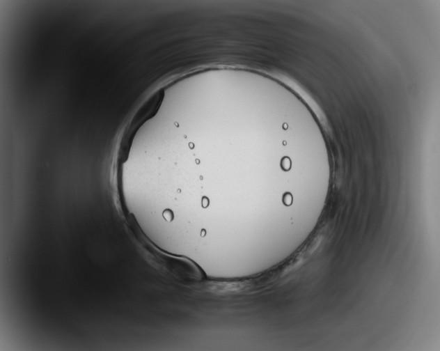 X0000087600861200705181236