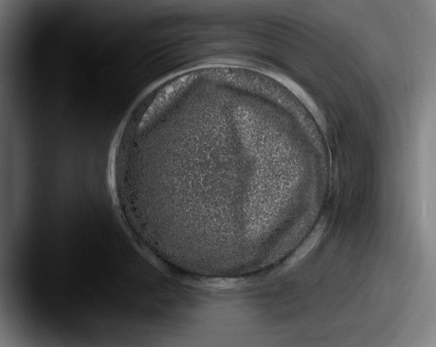 X0000087600862200705181236