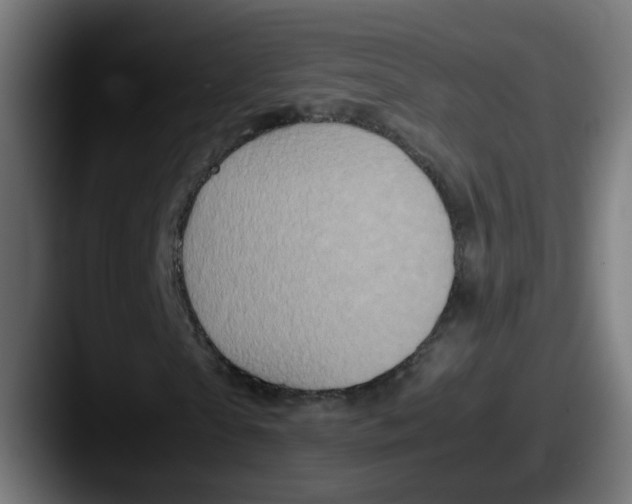 X0000087600865200705181235