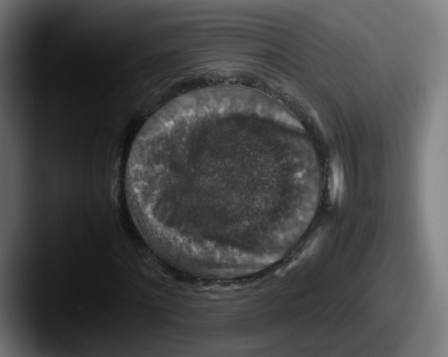 X0000087600868200705181235