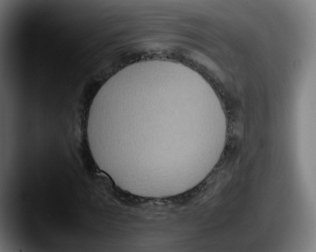 X0000087600869200705181235