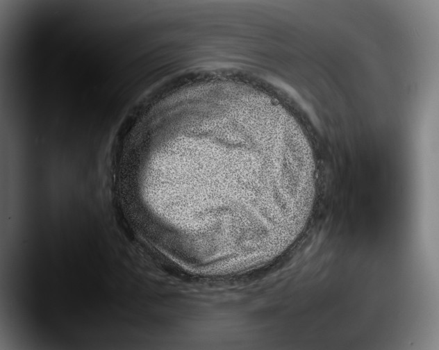 X0000087600871200705181235