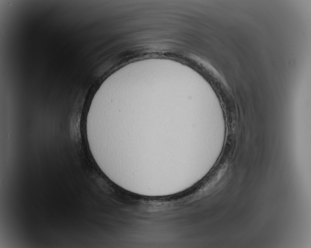 X0000087600873200705181235