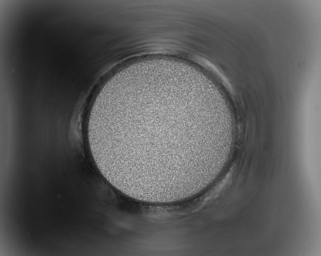 X0000087600875200705181235