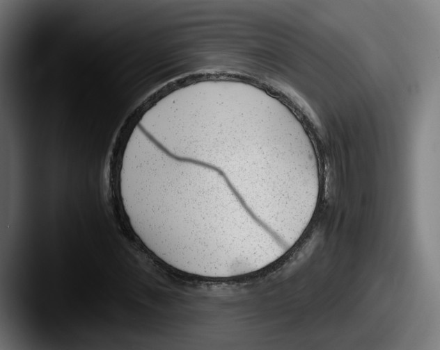 X0000087600876200705181235