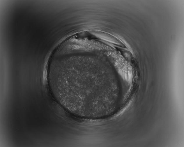 X0000087600877200705181235
