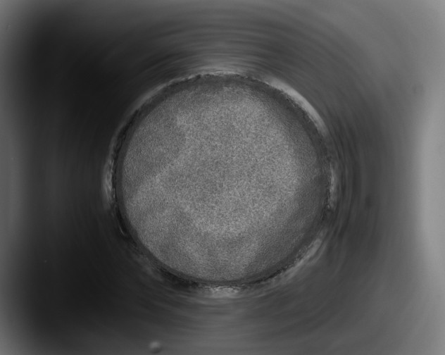 X0000087600878200705181235