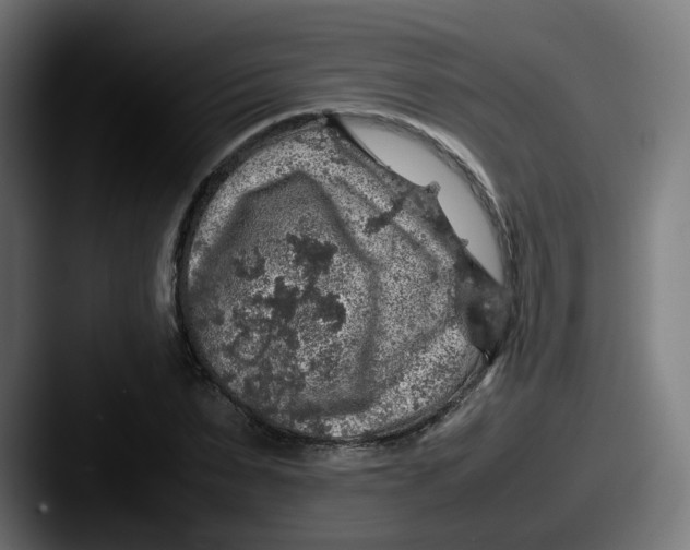 X0000087600879200705181235