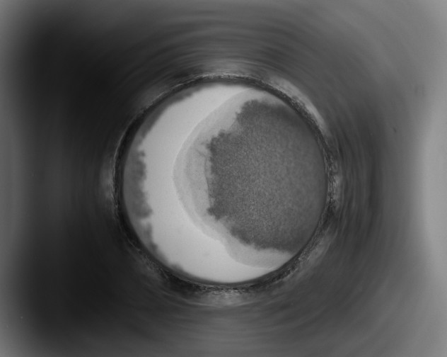 X0000087600882200705181235
