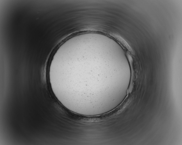 X0000087600884200705181235