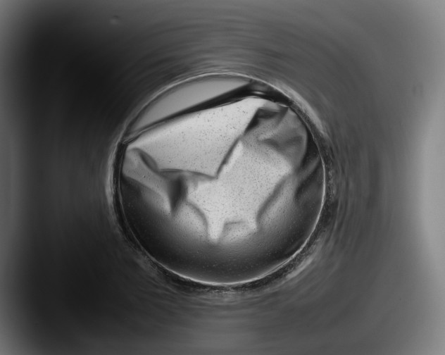 X0000087600885200705181235