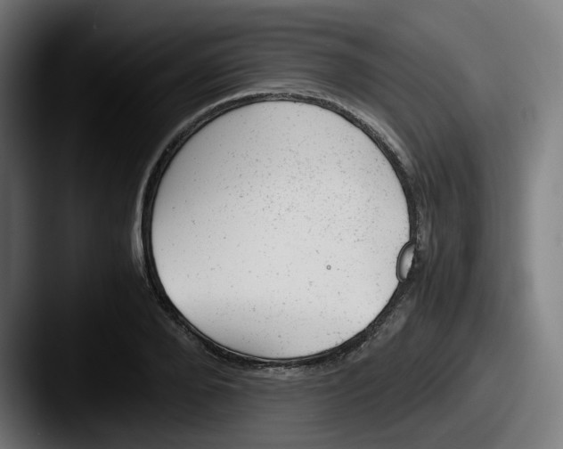 X0000087600888200705181235