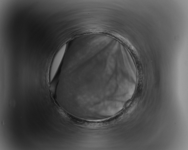 X0000087600889200705181235