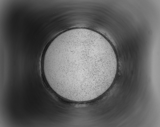 X0000087600890200705181235