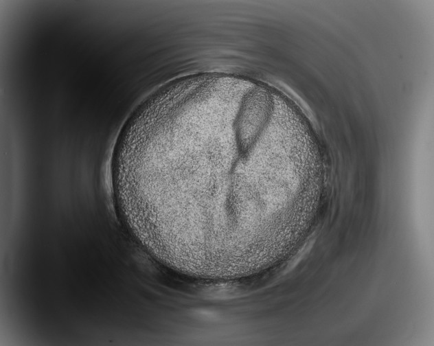 X0000087600891200705181235