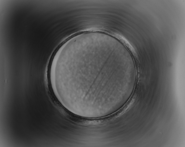 X0000087600892200705181235