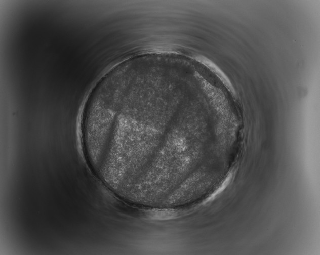 X0000087600893200705181235