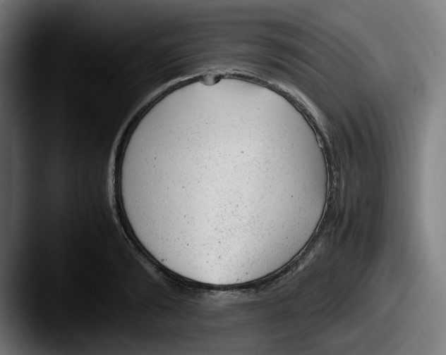 X0000087600894200705181235