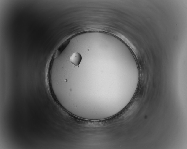 X0000087600901200705181235