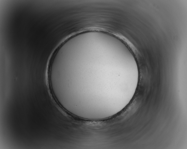 X0000087600902200705181235