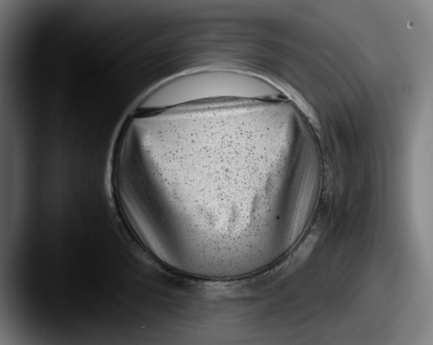 X0000087600904200705181235
