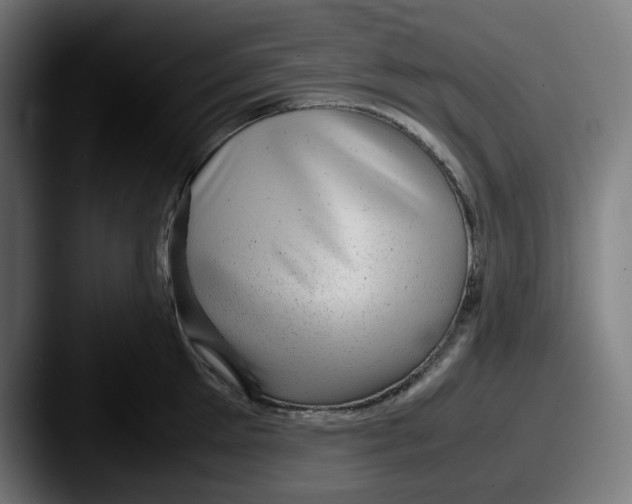 X0000087600905200705181235