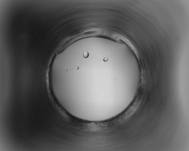 X0000087600906200705181235