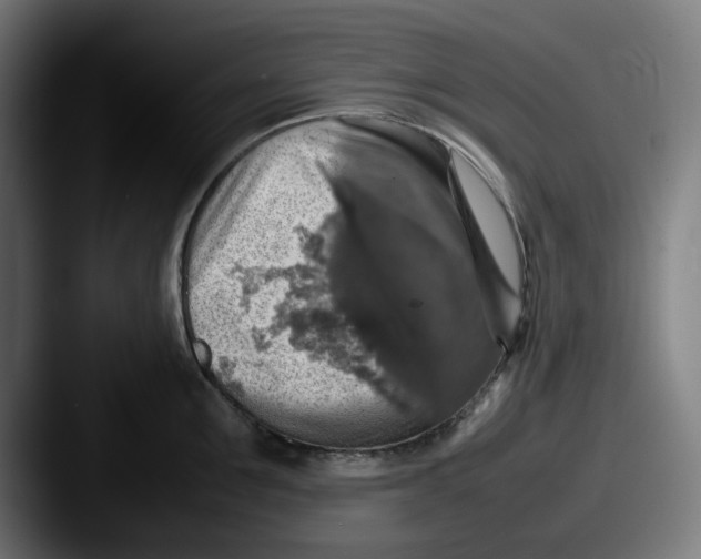 X0000087600907200705181235