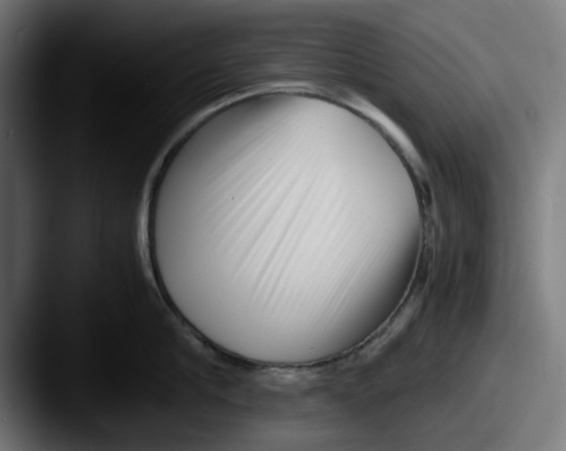 X0000087600910200705181235