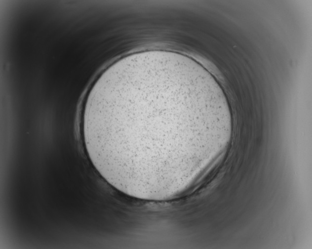X0000087600912200705181235