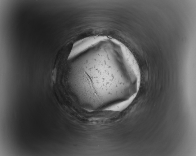 X0000087600914200705181234