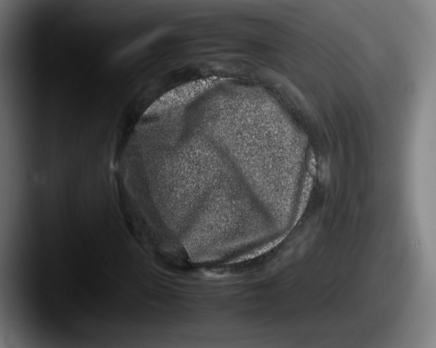 X0000087600915200705181234