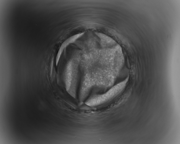 X0000087600916200705181234