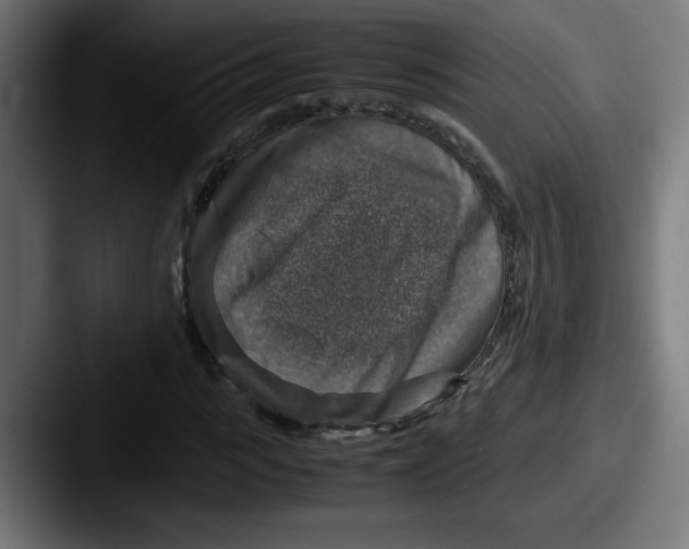 X0000087600919200705181234
