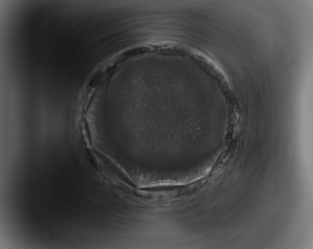 X0000087600920200705181234